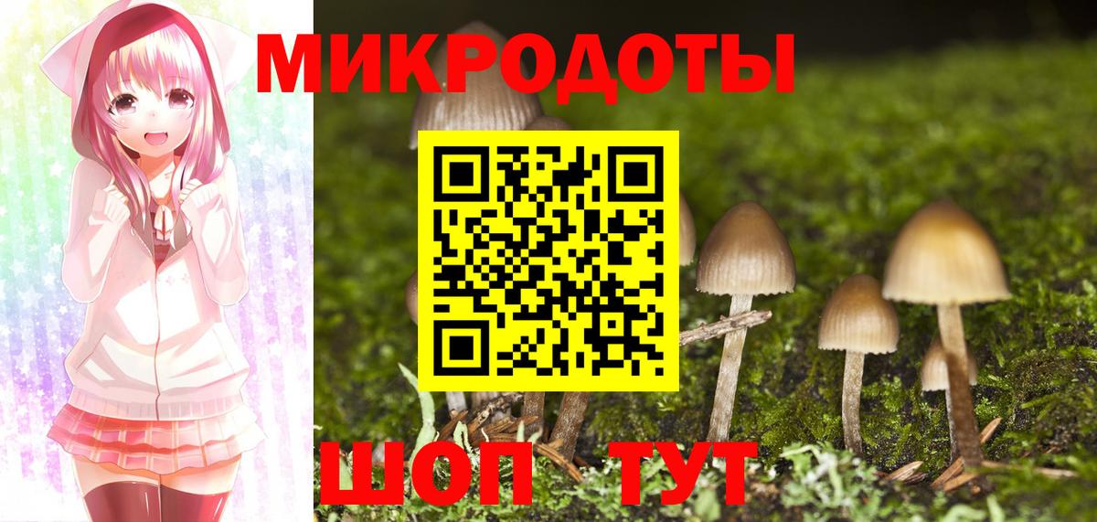 Галлюциногенные грибы Psilocybine cubensis Зима
