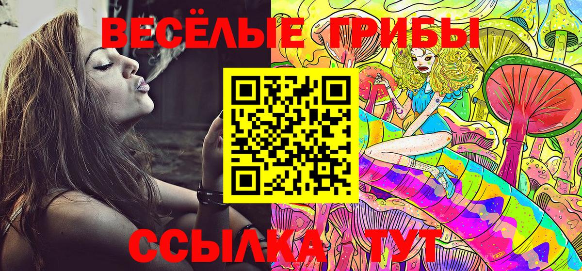 Зима  Галлюциногенные грибы мицелий  Вход с VPN  Псилоцибиновые грибы прущие грибы 